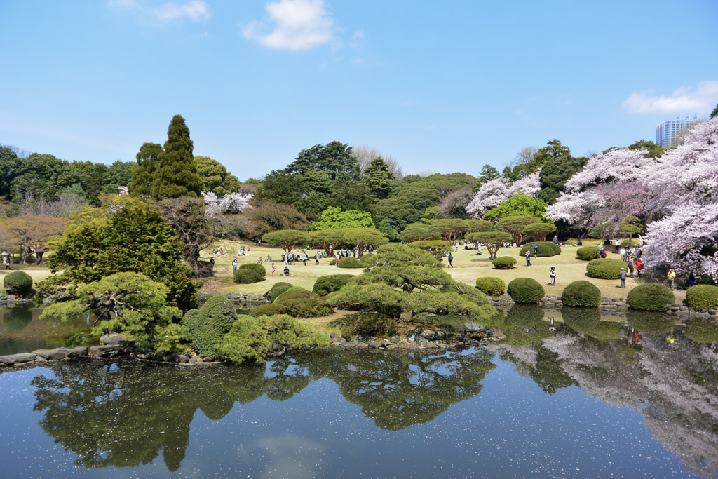 Shinjuku Gyoen in Tokyo, Japan