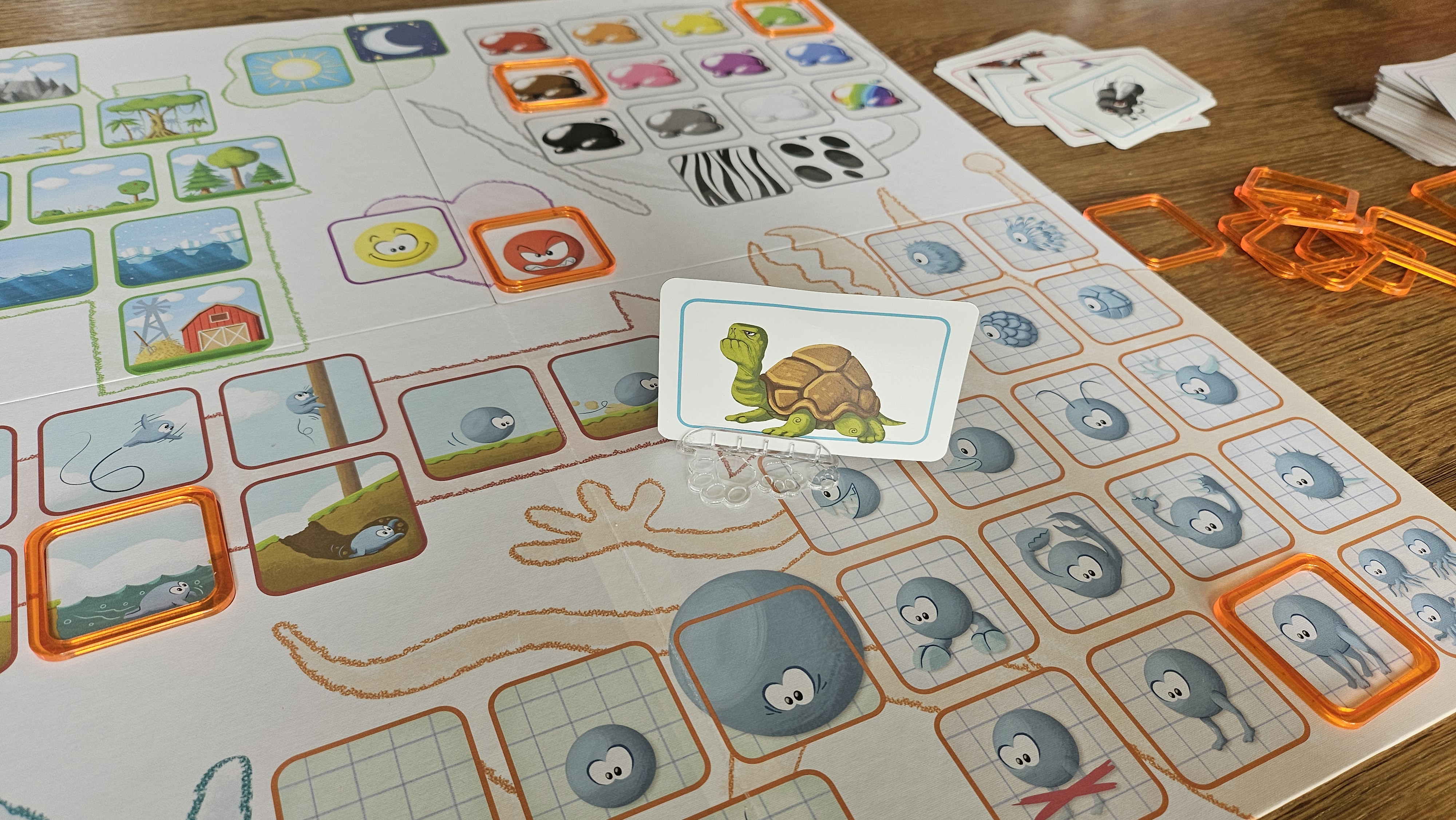 Concept Kids Dieren