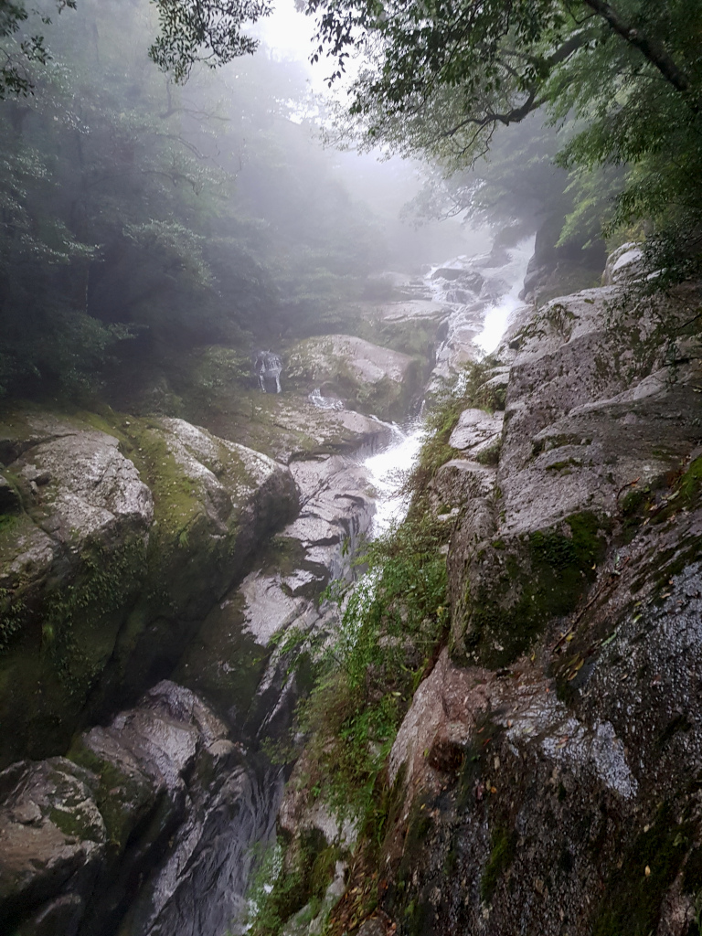 Shiratani Unsuikyo stream on Yakushima Island in Japan