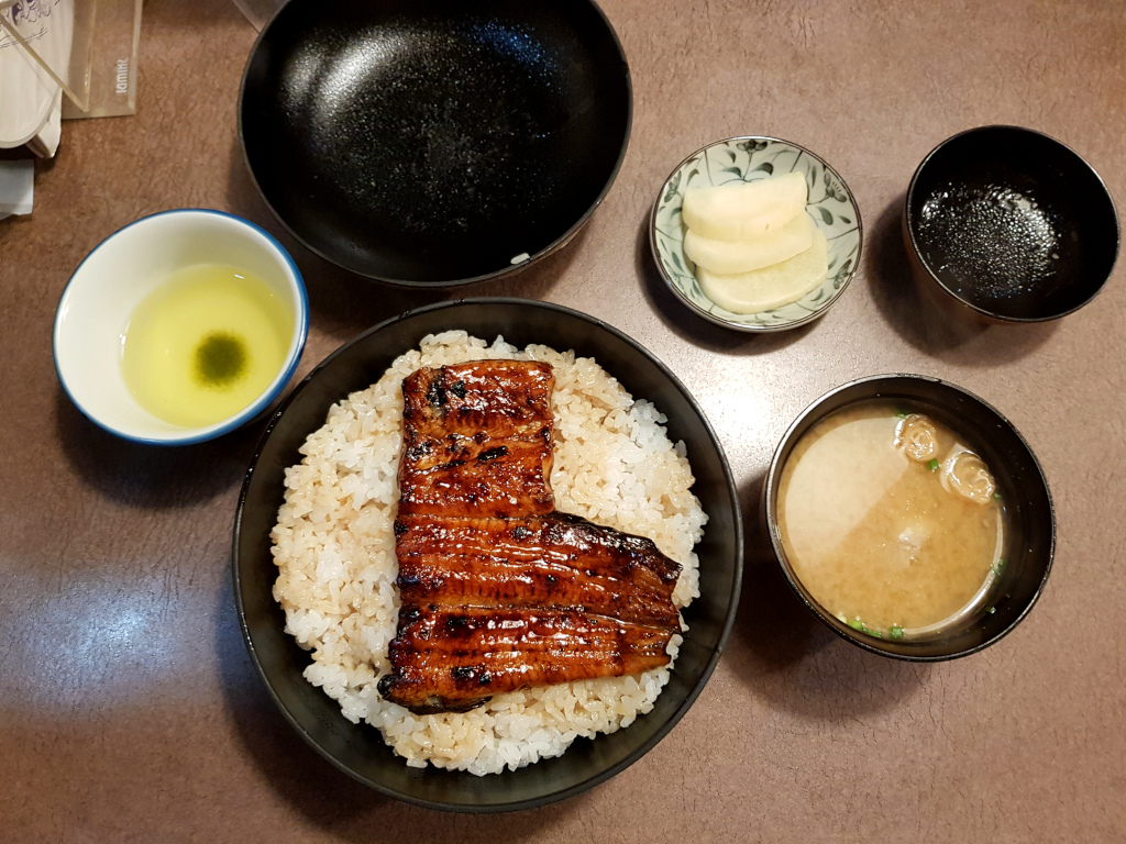 Unagi Don meal in Kagoshima on Kyushu Island in Japan