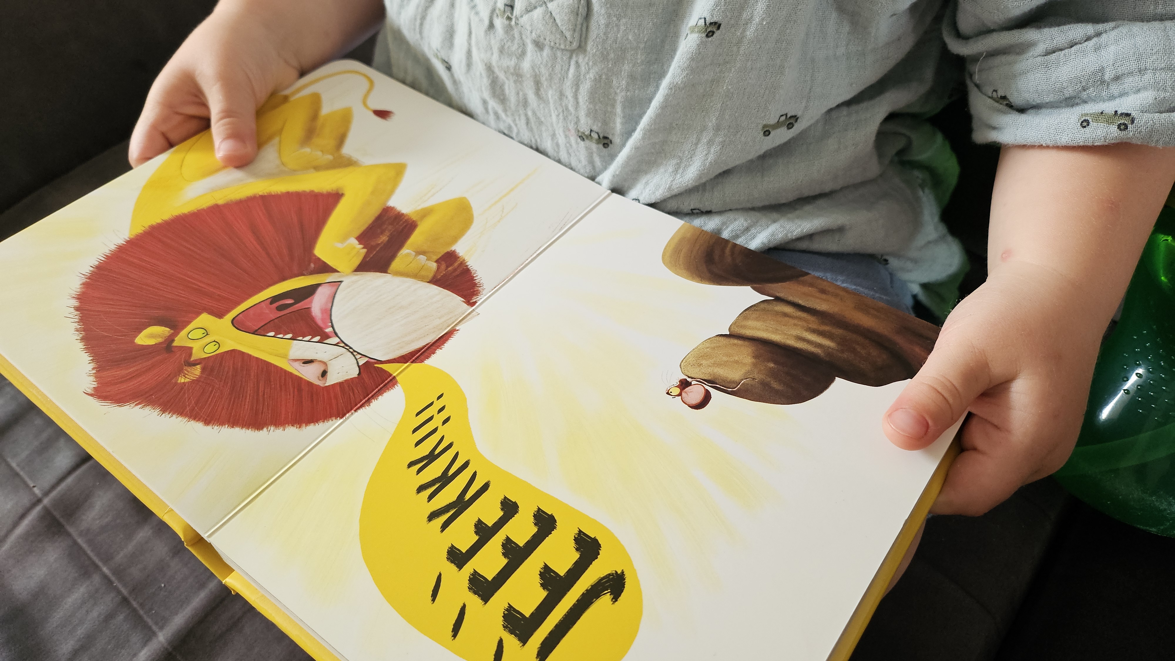 Kinderen op de bank met prentenboek De Leeuw in de Muis