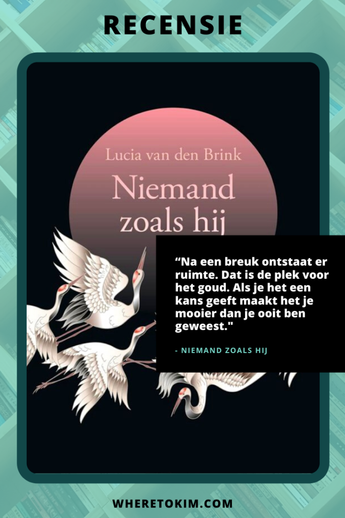 Nederlands boek - Lucia van den Brink - Niemand zoals hij