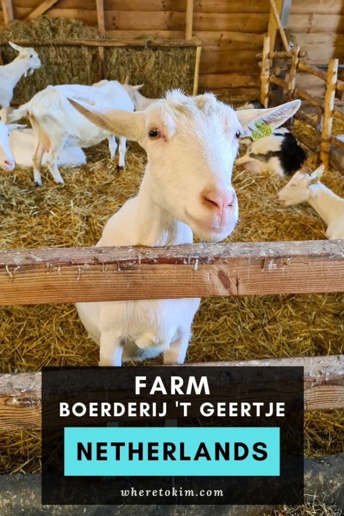 Boerderij 't Geertje - Netherlands farm