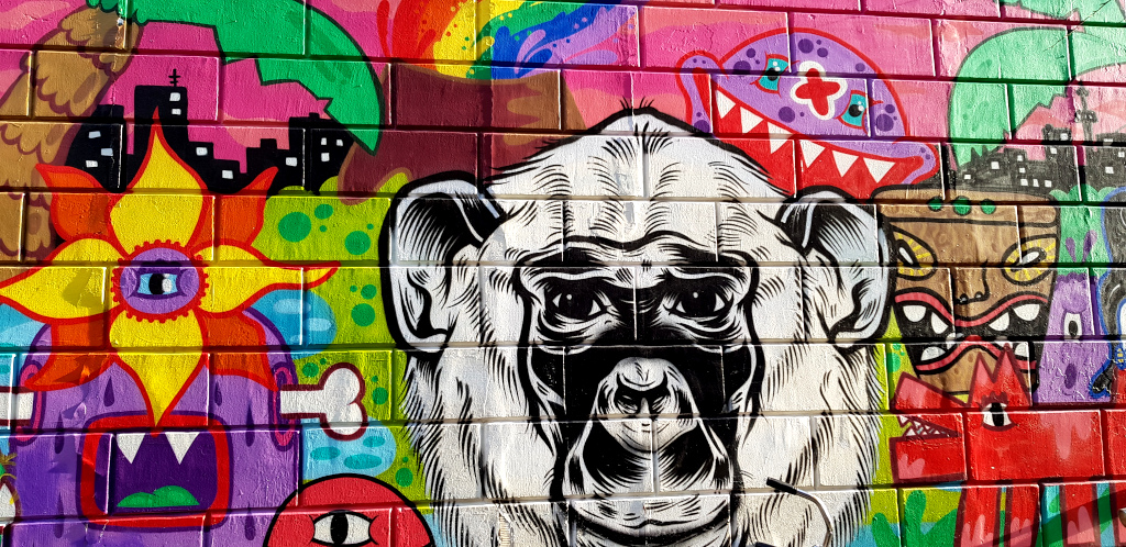 Netherlands - Rotterdam - Witte de Withstraat mural art
