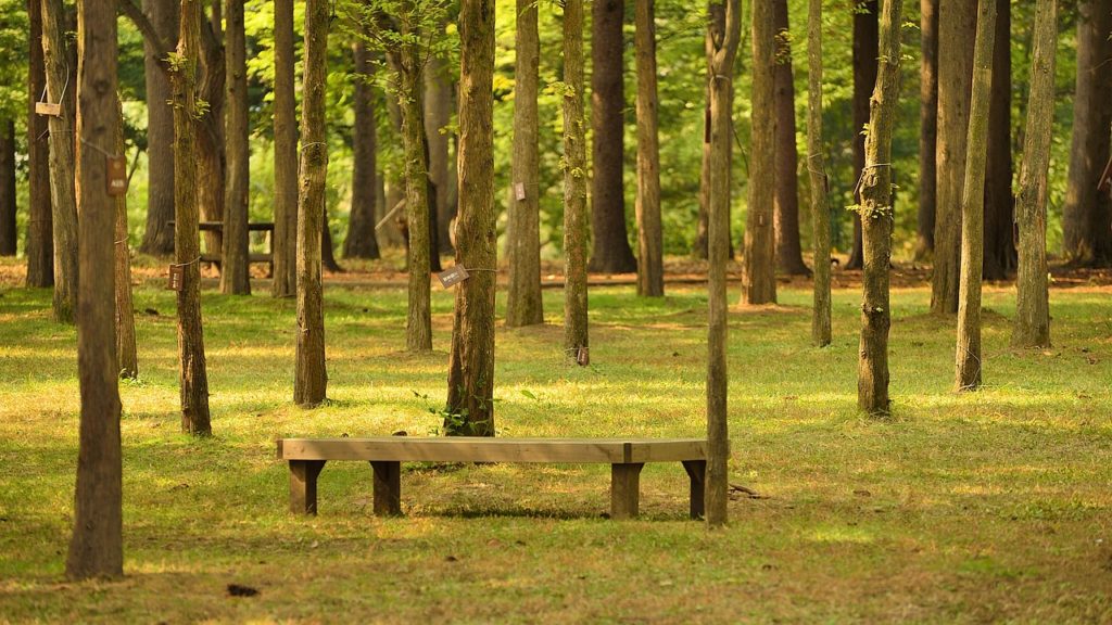 Nami Island near Seoul, South Korea