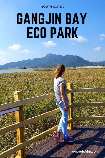South-Korea-Gangjin-Bay-Eco-Park-Kim (1) Gangjin Bay Eco Park in South Korea