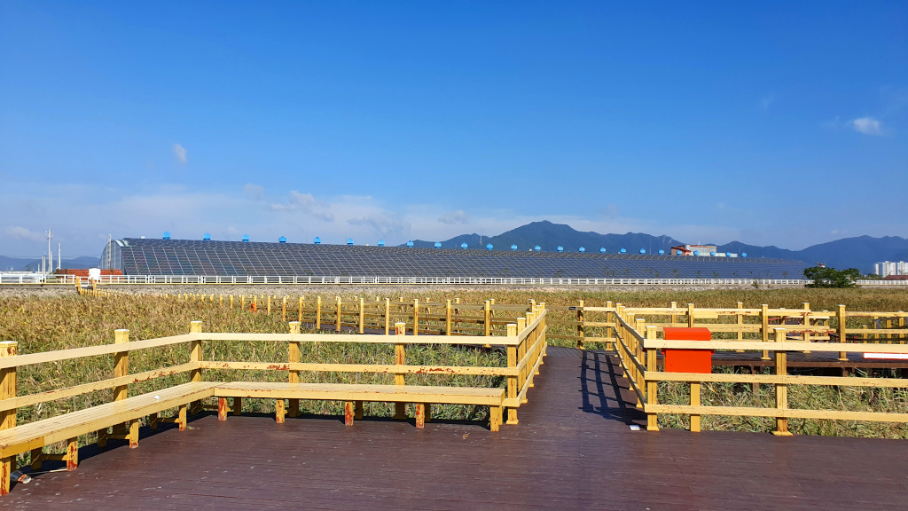 Solar panels at Gangjin Bay Eco Park in South Korea