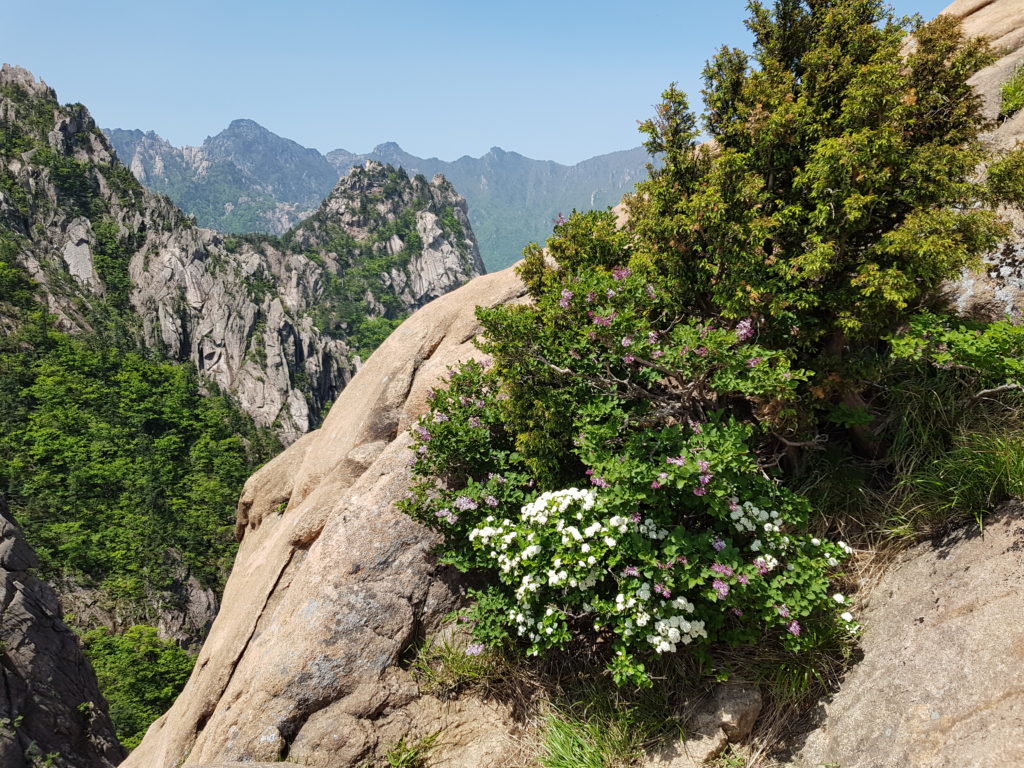 Seoraksan National Park in Sokcho, South Korea