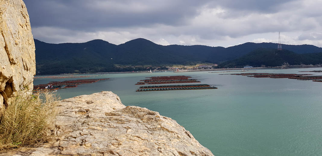 Daytrip from Wando: Bogil Island in South Korea